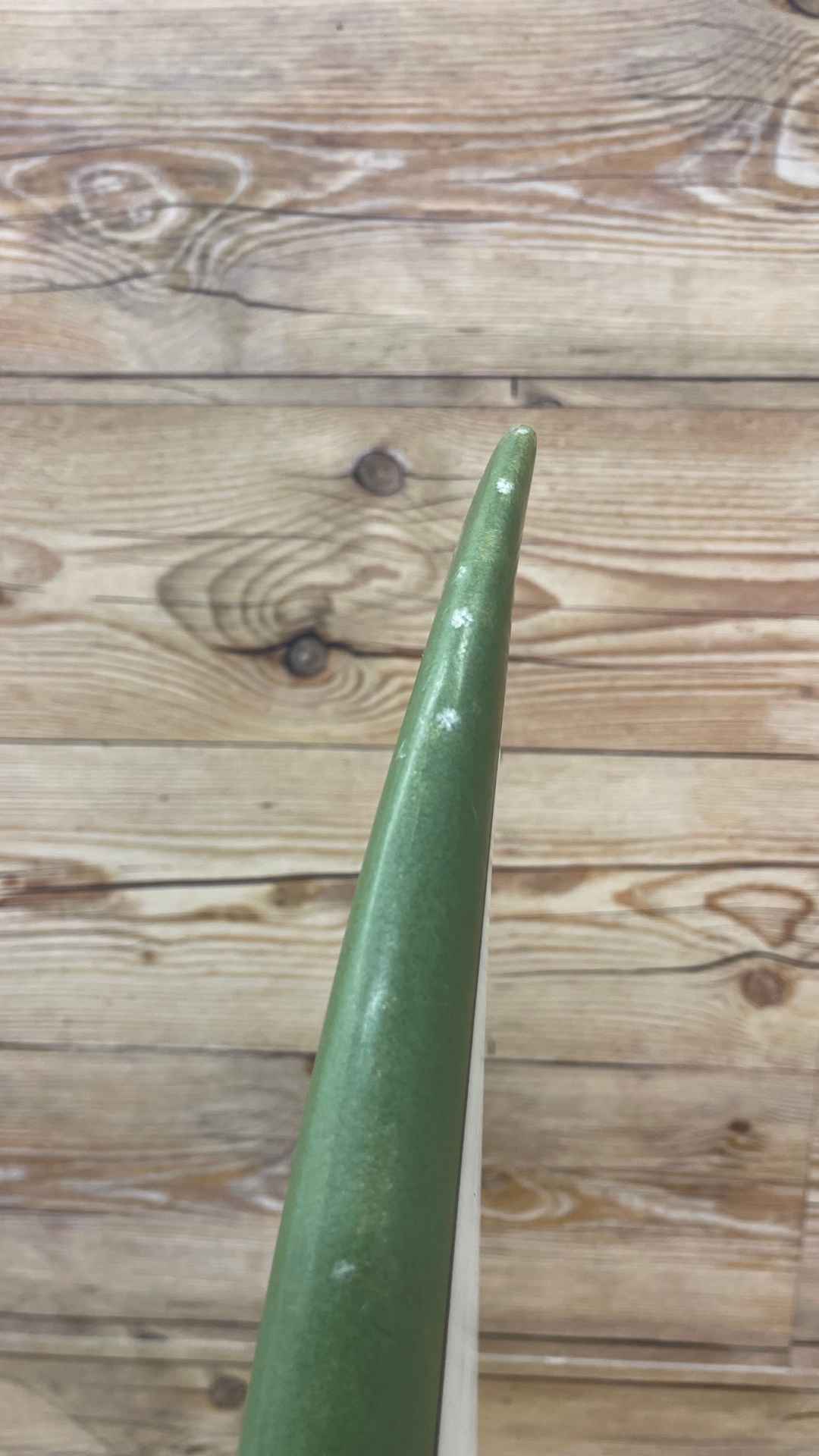 Funboard 6'6"