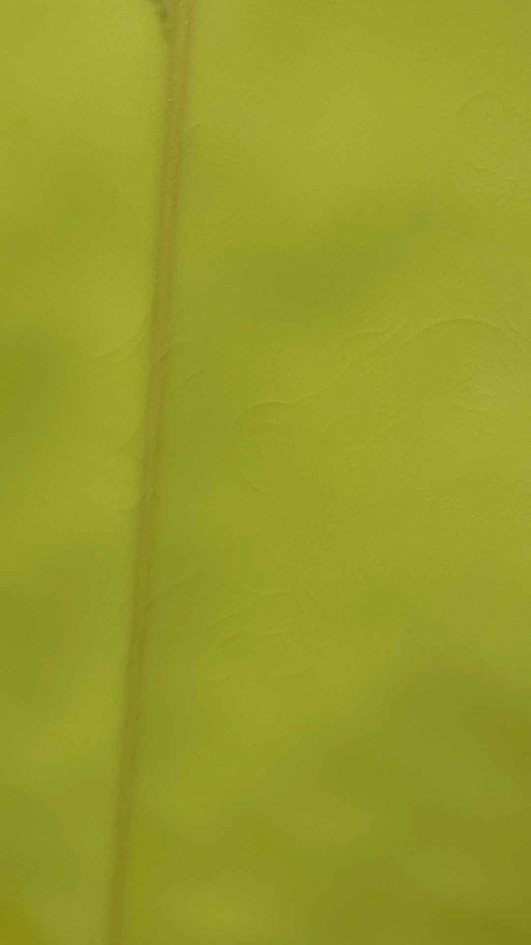 Bonzer 3 7'0"
