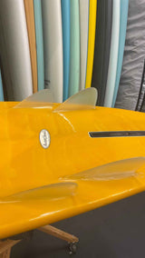 Bonzer 5 Egg 6'2"