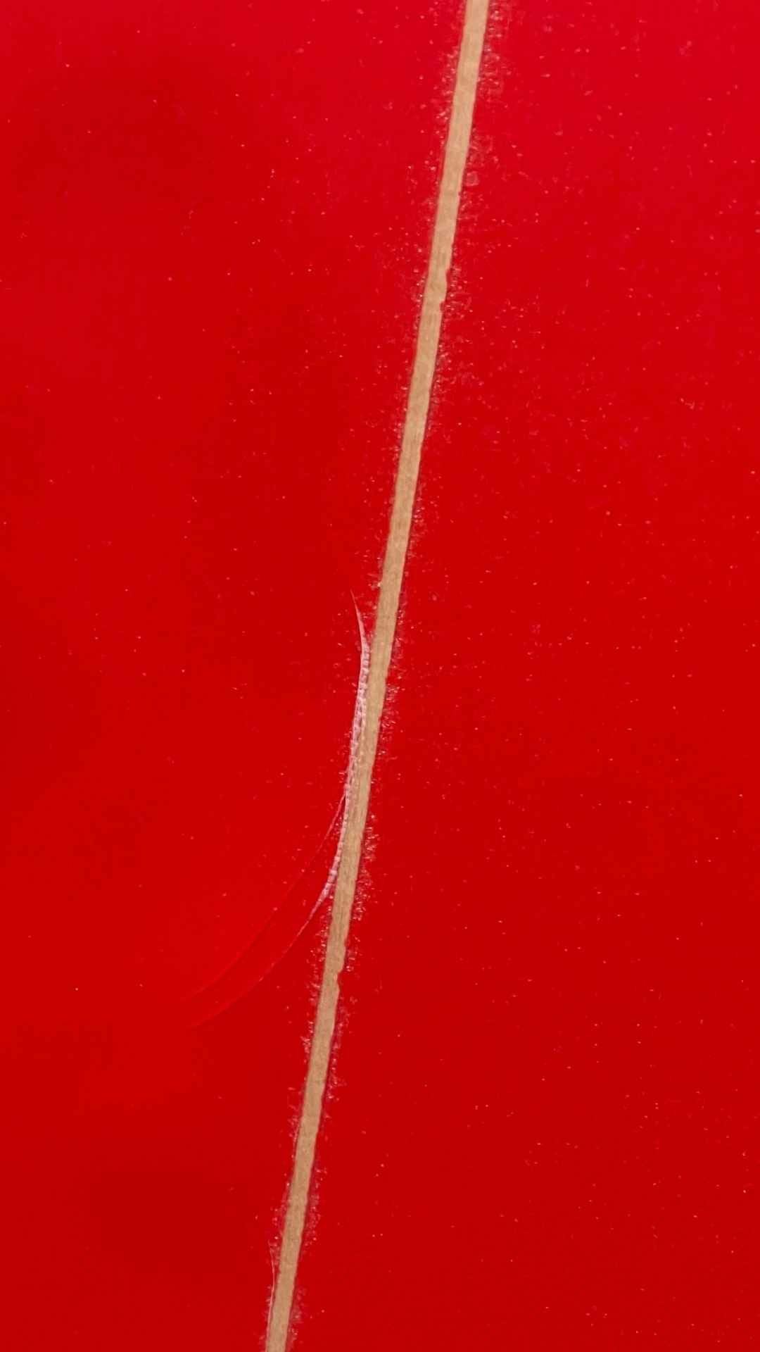 Feb's Fish 5'5"