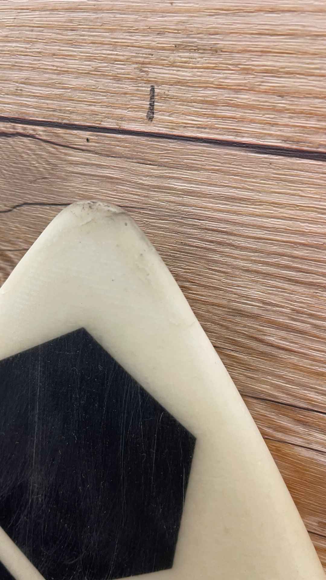 FishBeard 5'7"