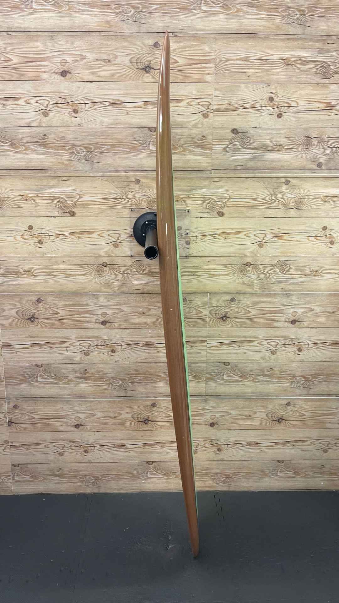 MSF 6'5