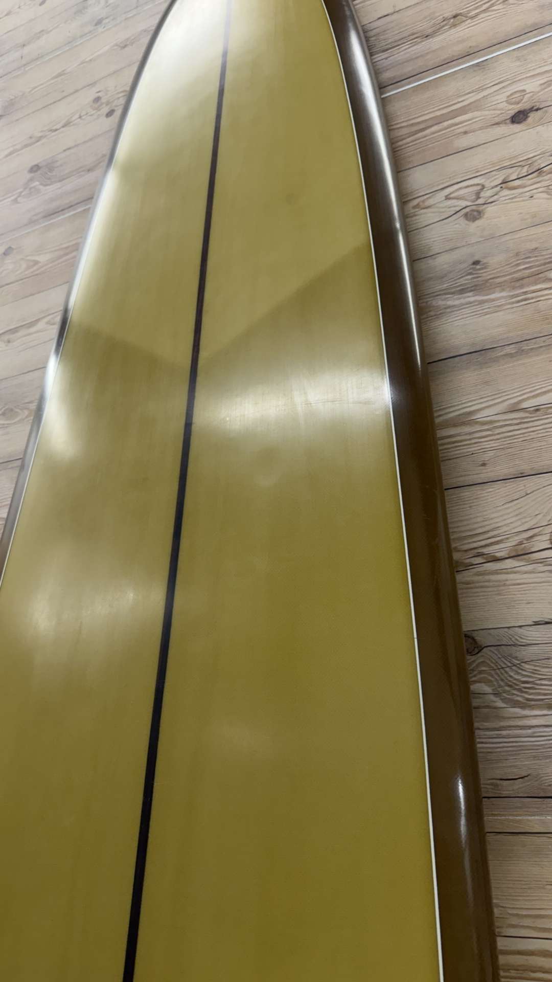 Pig 10'1"