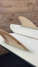 Twin Keel Fish 5'6"