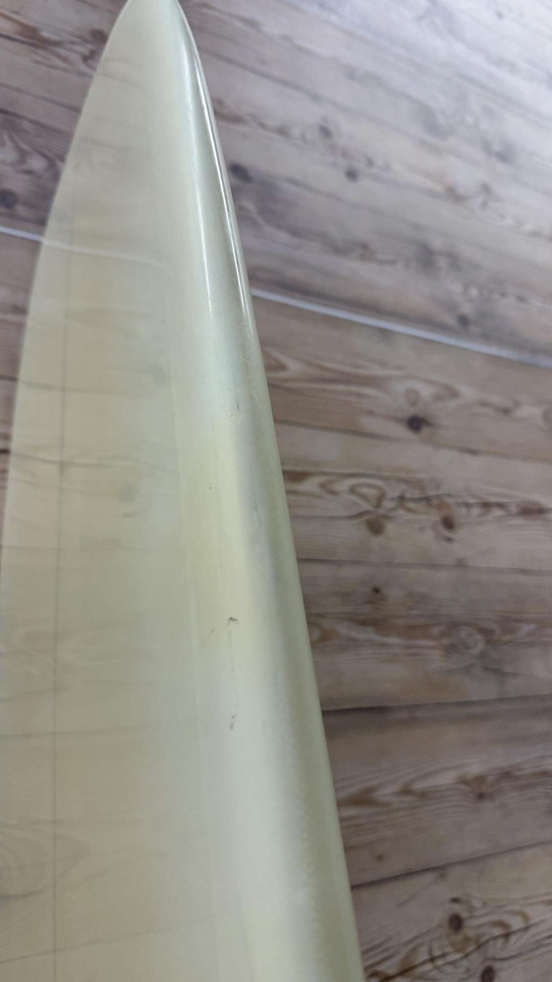 Colapintail 8'3"