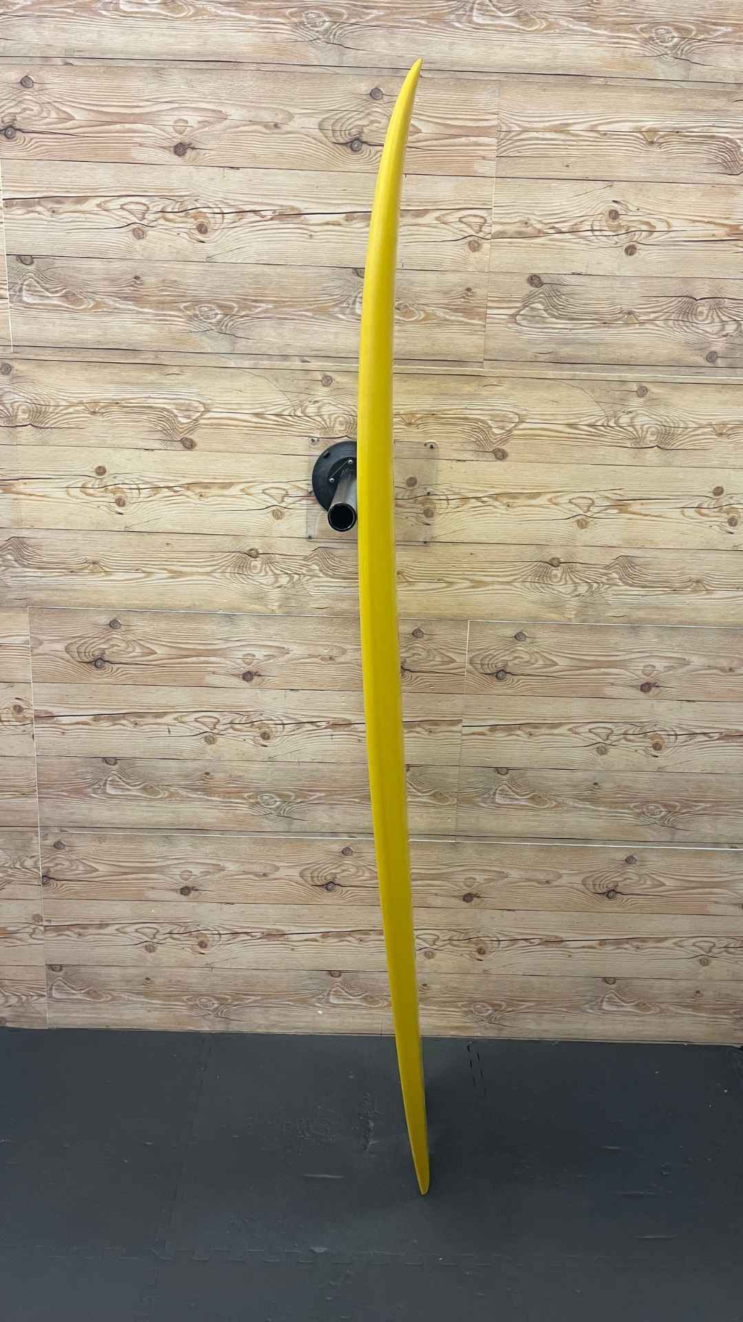 Twin Fish 6'4"