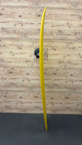 Twin Fish 6'4"