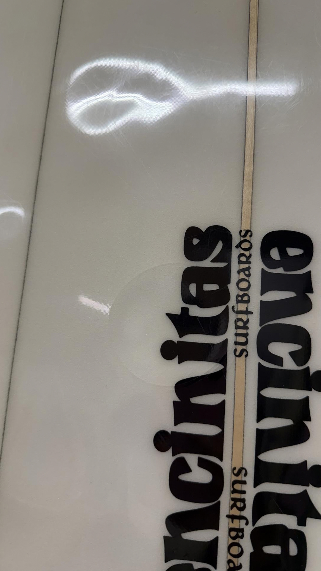 2+1 Longboard 9'0"
