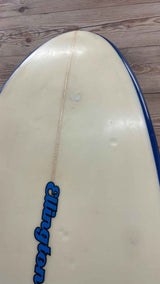 Funboard 7'6"