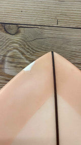 Evil Twin Fish 5'6"