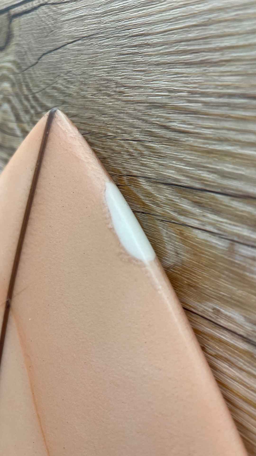 Evil Twin Fish 5'6"