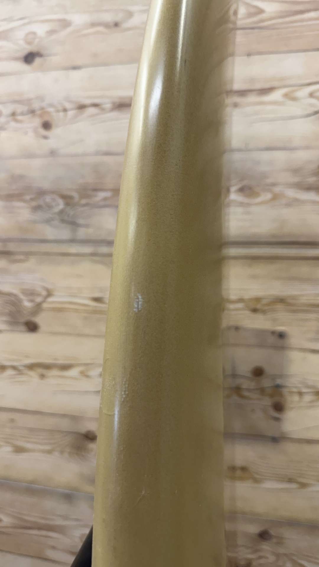Quad Fish 6'4"