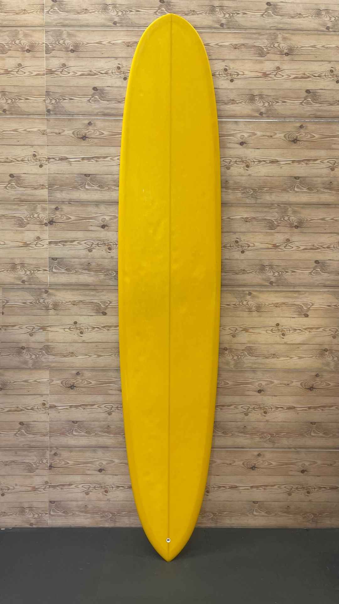 Single Fin 10'2"