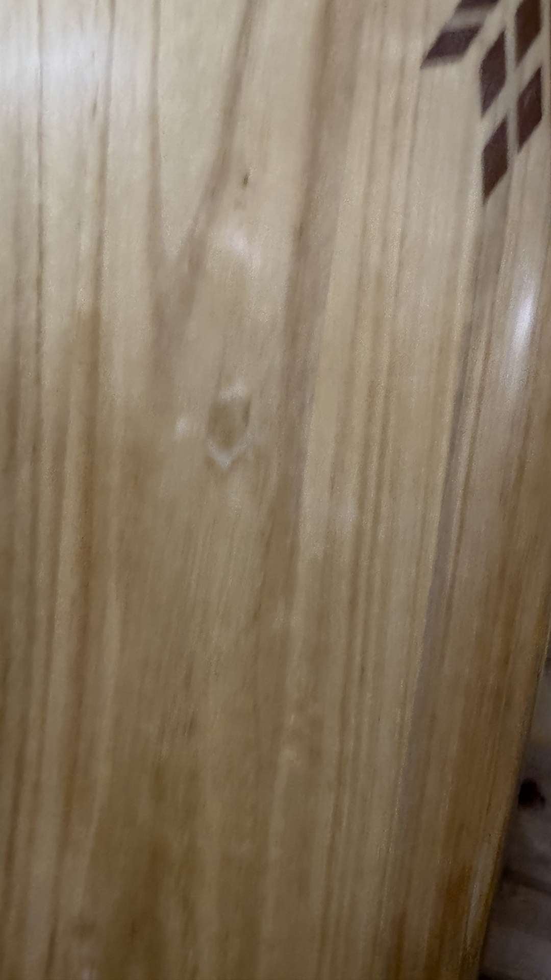 Greedy Beaver 6'10"