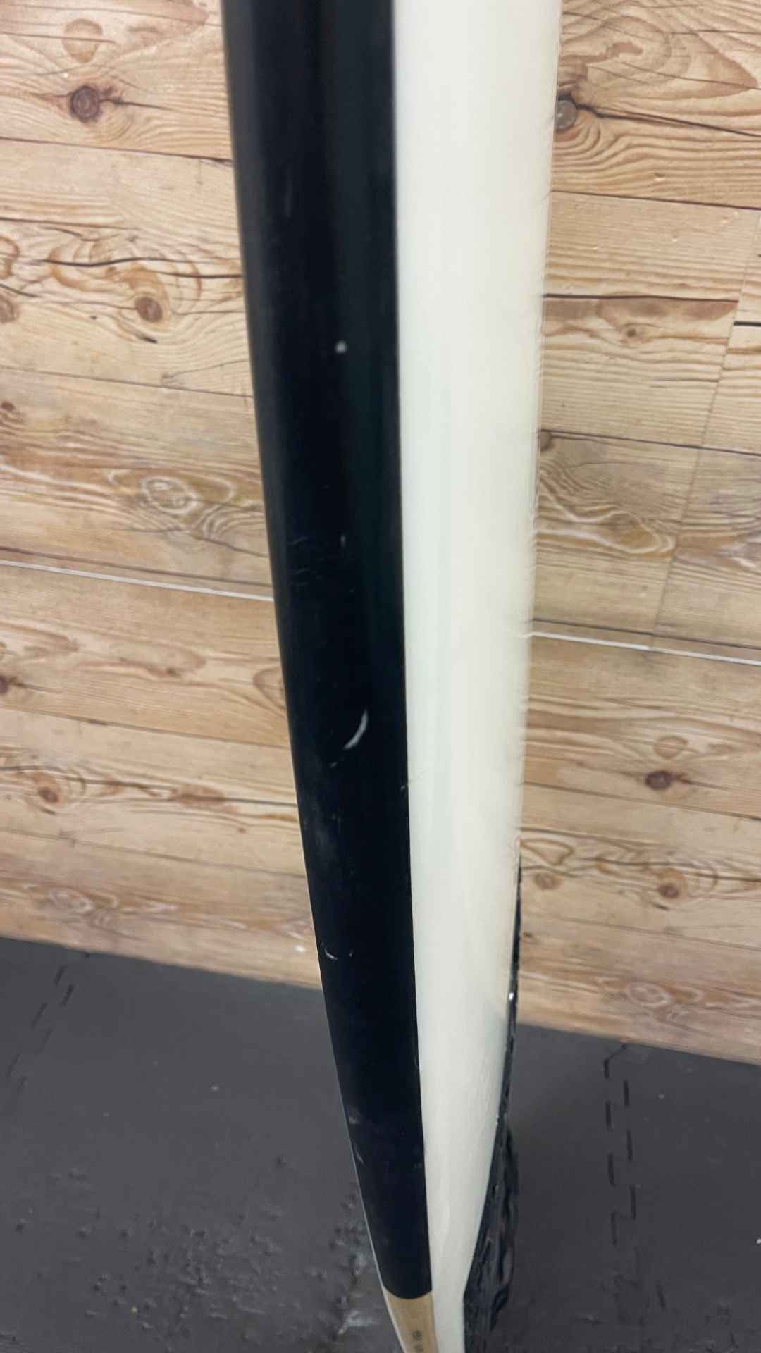 Seaside Fish 5'5"