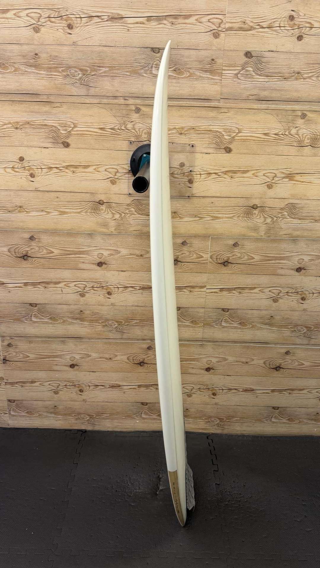 Sweet Potato 5'4"
