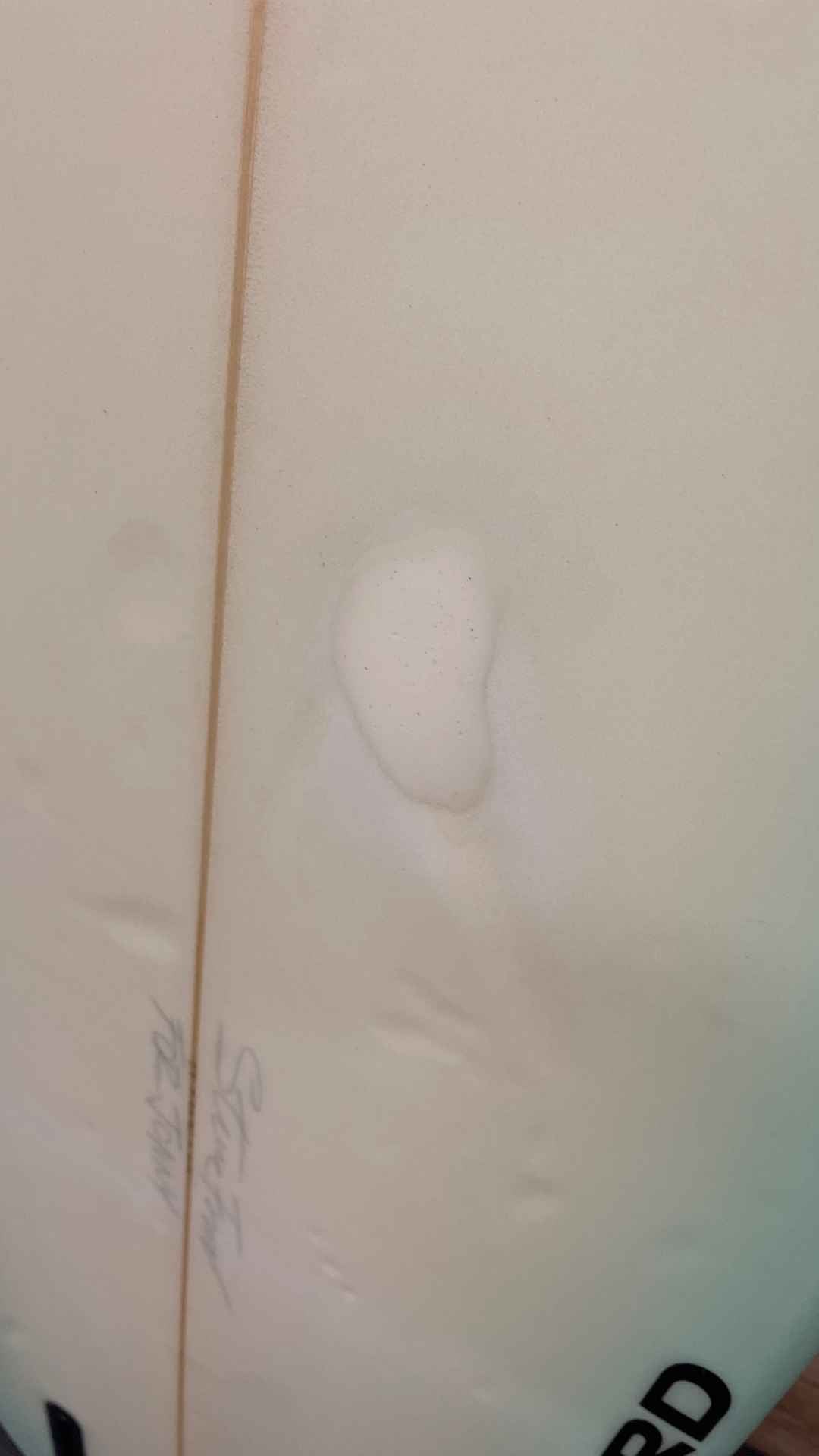 Quad Fish 5'8"