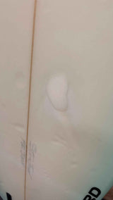 Quad Fish 5'8"