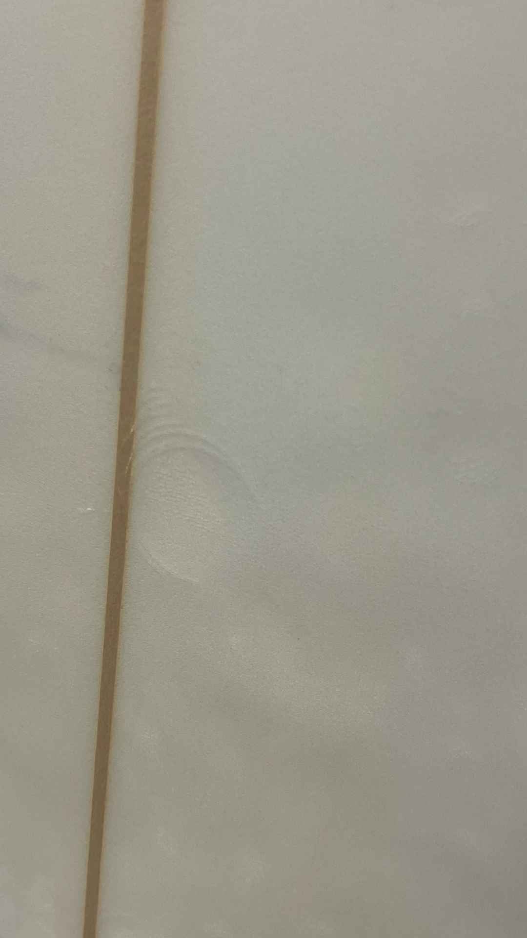 Quad Egg 6'6"