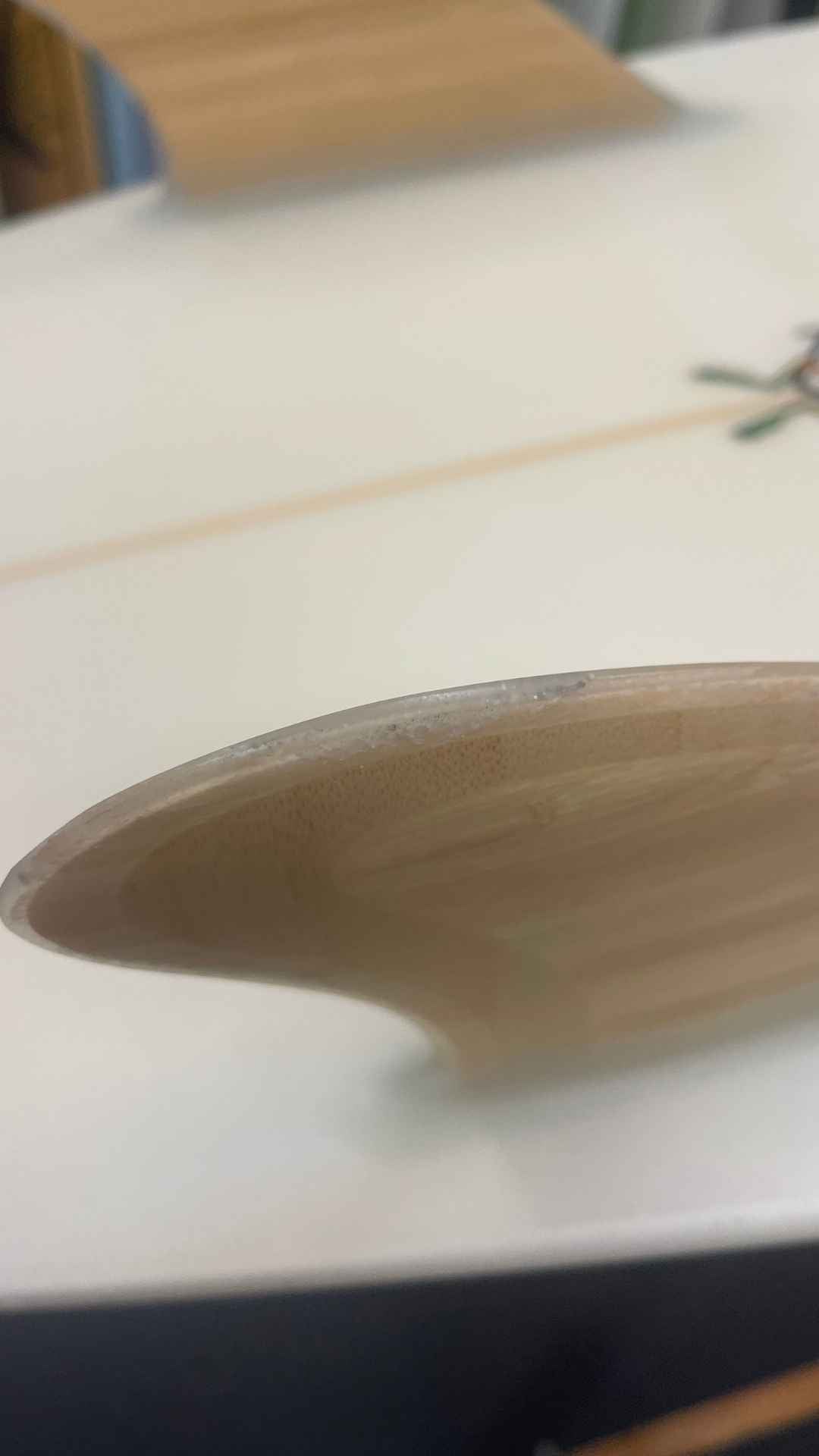 Twin Keel Fish 5'8"