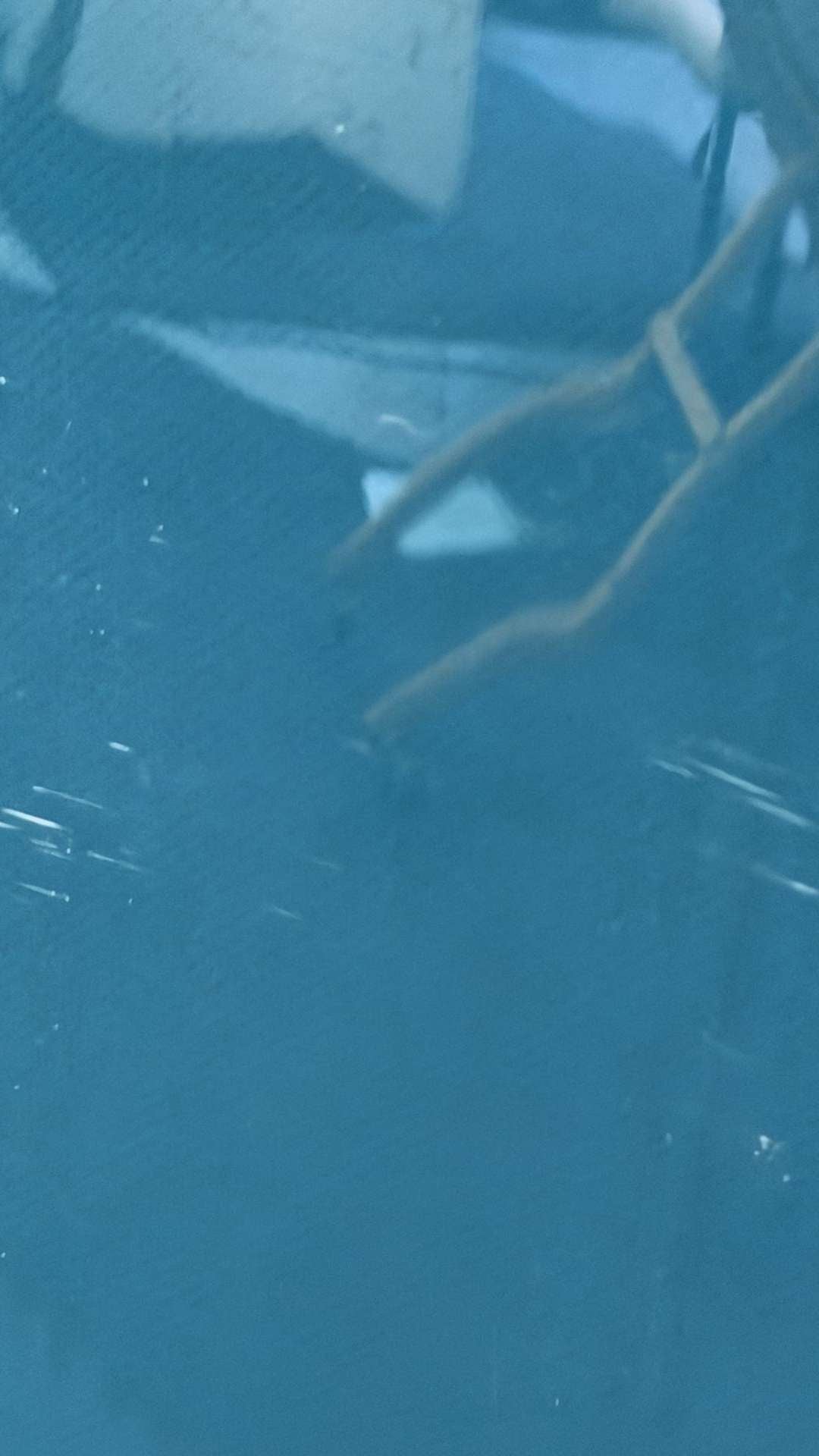 Long Haul 9'0"