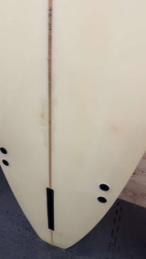 Endless Summer 9'6"