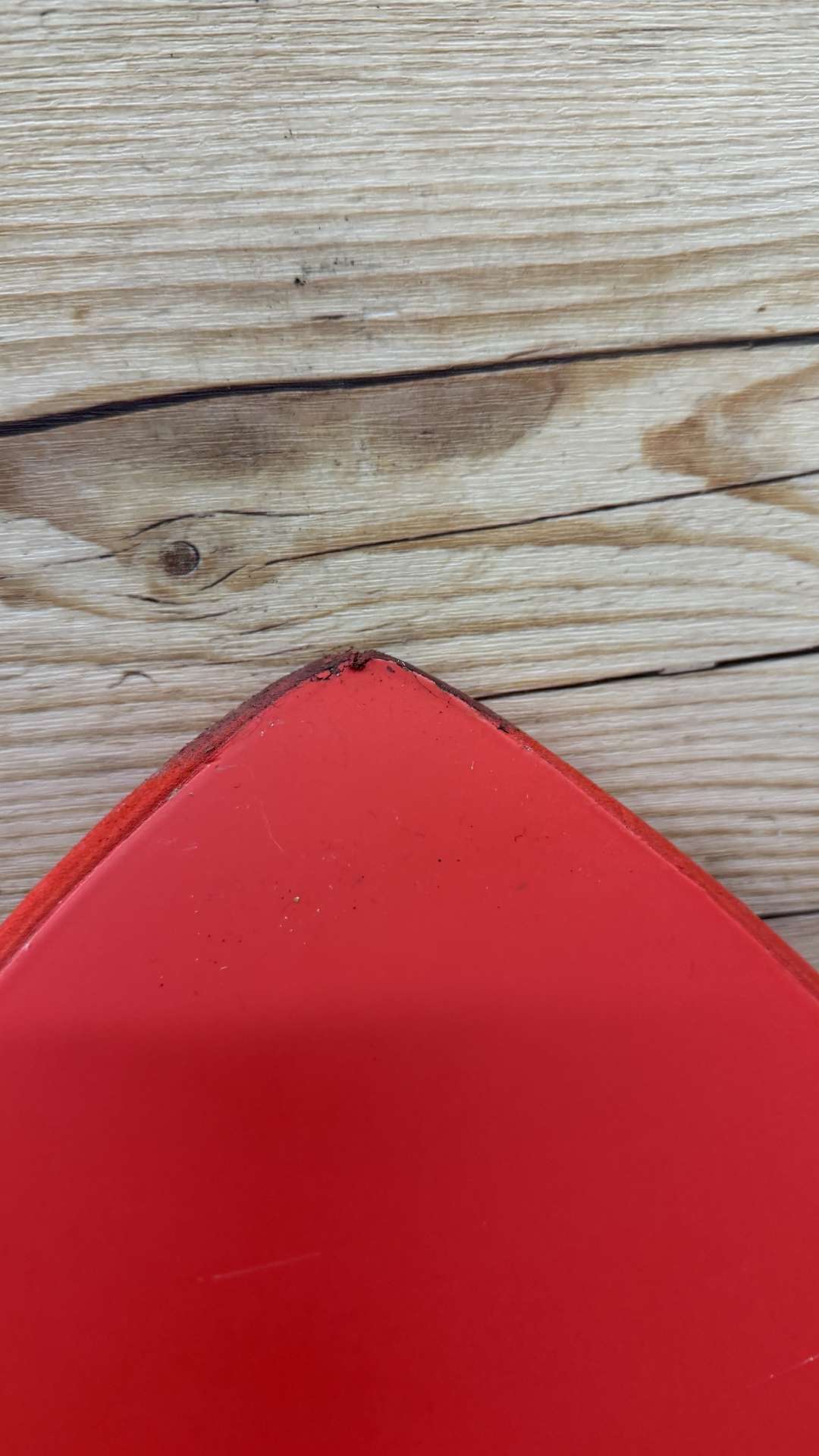 Pro Model Fish Softboard 5'10"