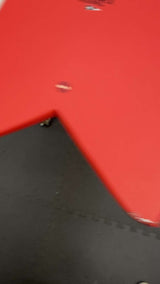 Pro Model Fish Softboard 5'10"