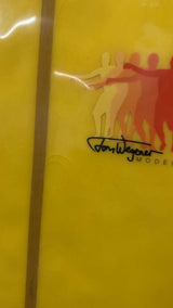 Tom Wegener Model 10'4"