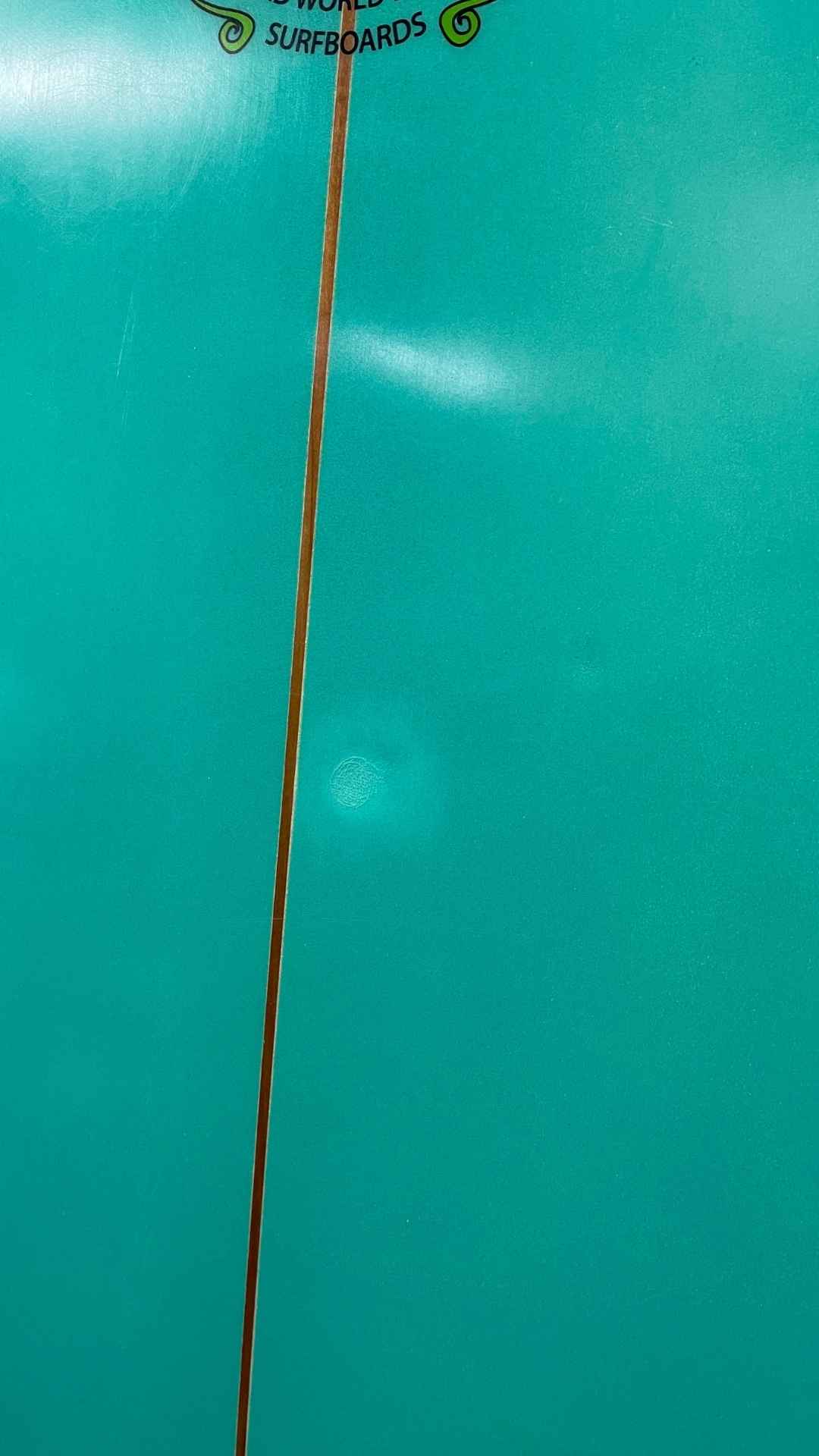 Long Fish 8'4"