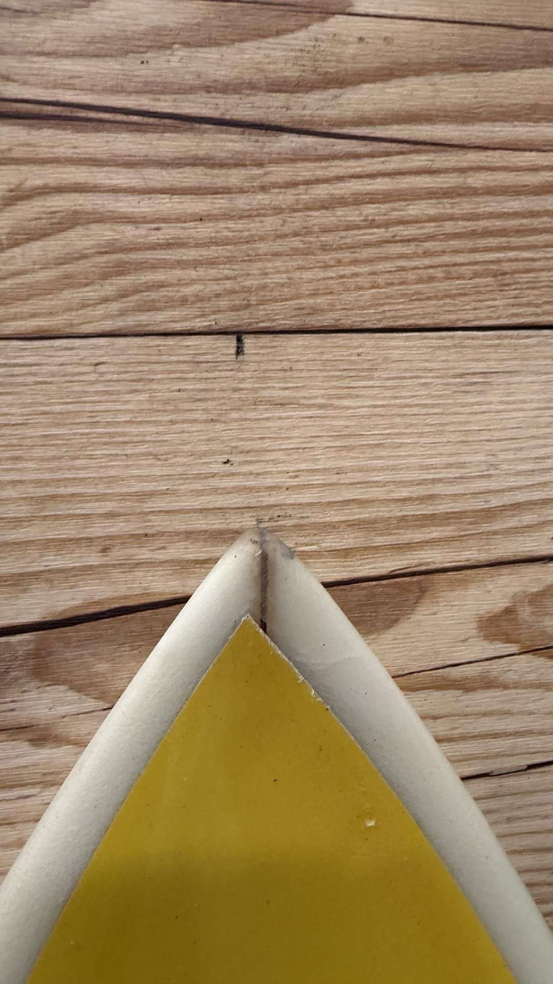 Speed Demon 2 6'0"