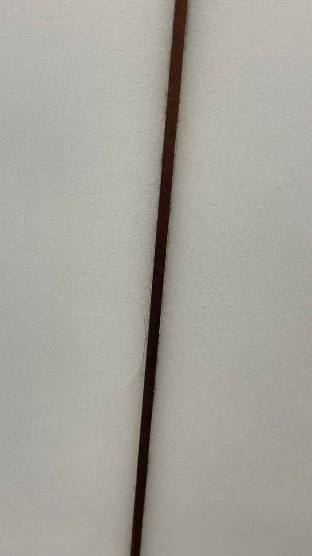FM 6'6"