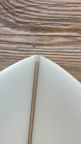 Quad Fish 5'4"