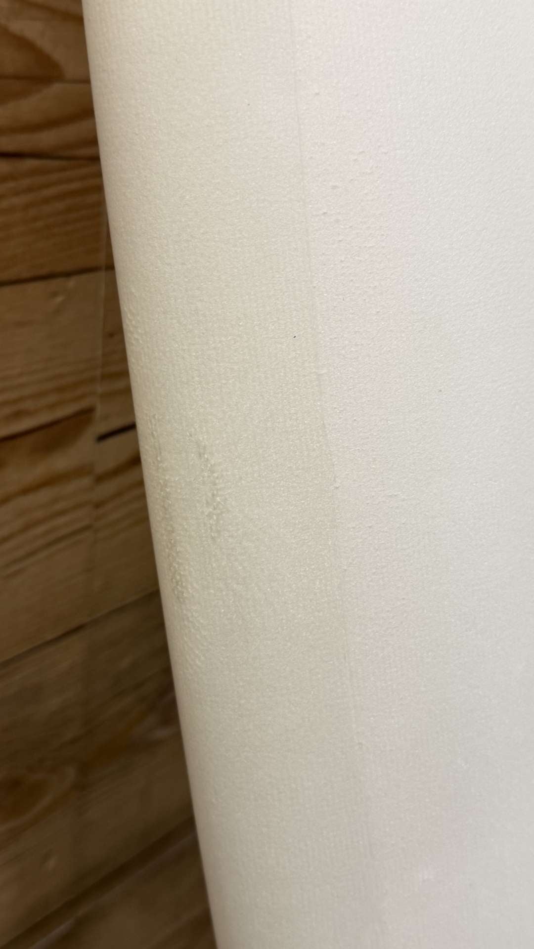 Bare Fish Twinzer 5'9"