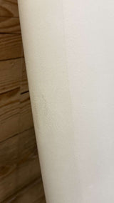 Bare Fish Twinzer 5'9"