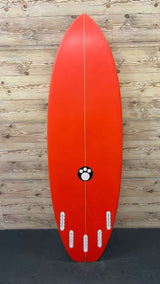 RV Dirty Dingo 5'8"