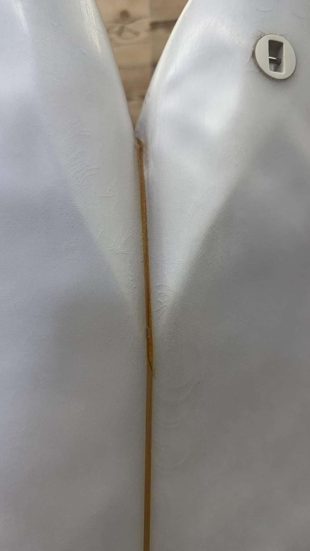 Rotten Fish 5'5"