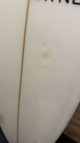 Fun Fish 5'4"