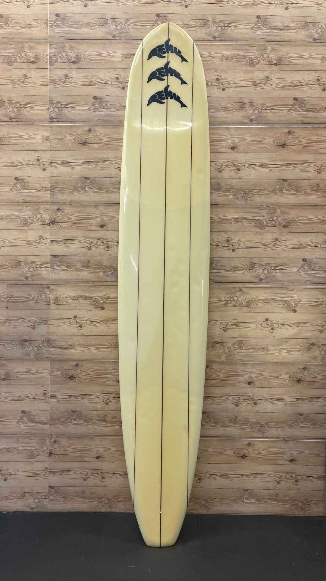 Single Fin 10'2"