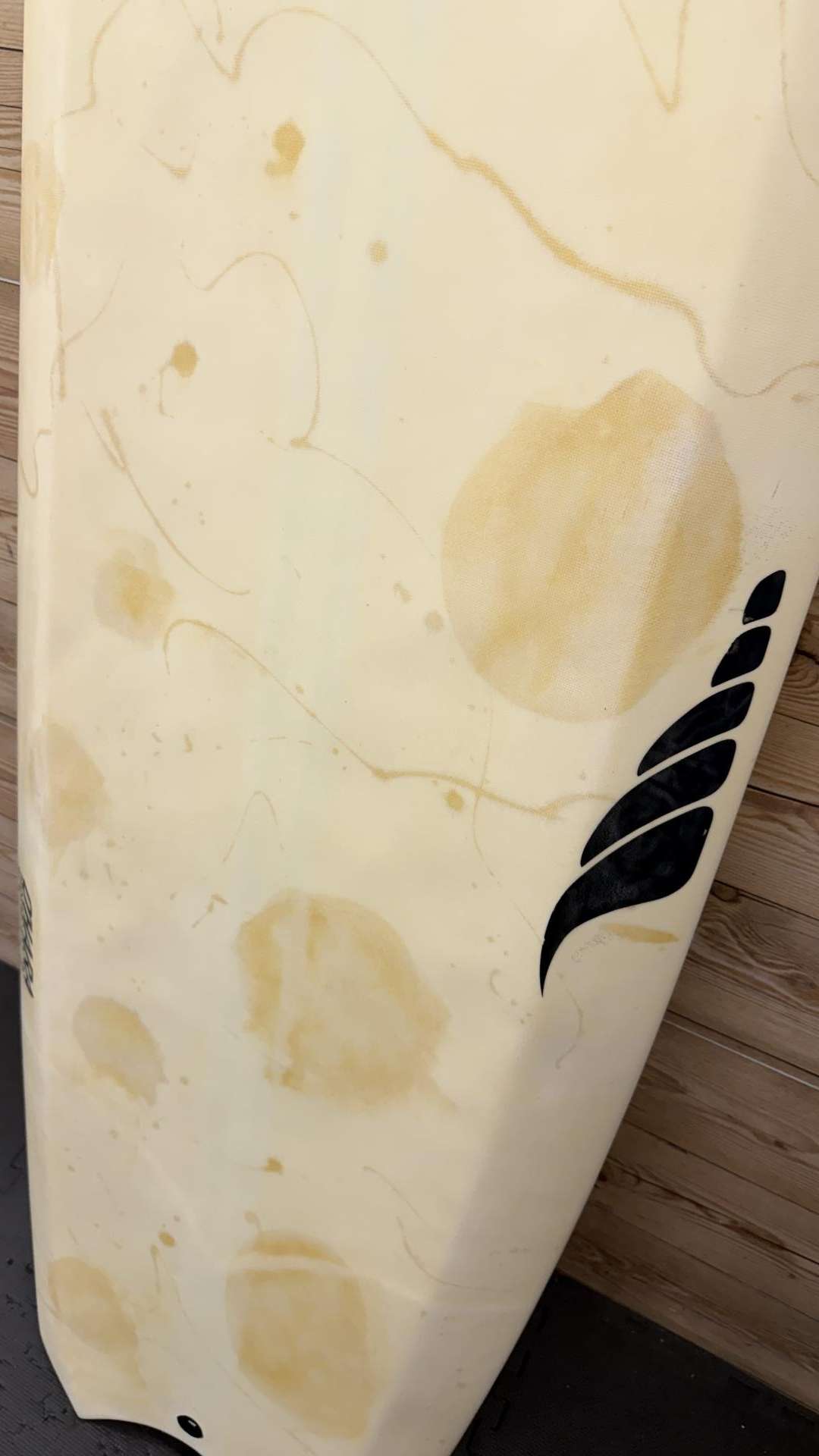 Bento Box 5'9"