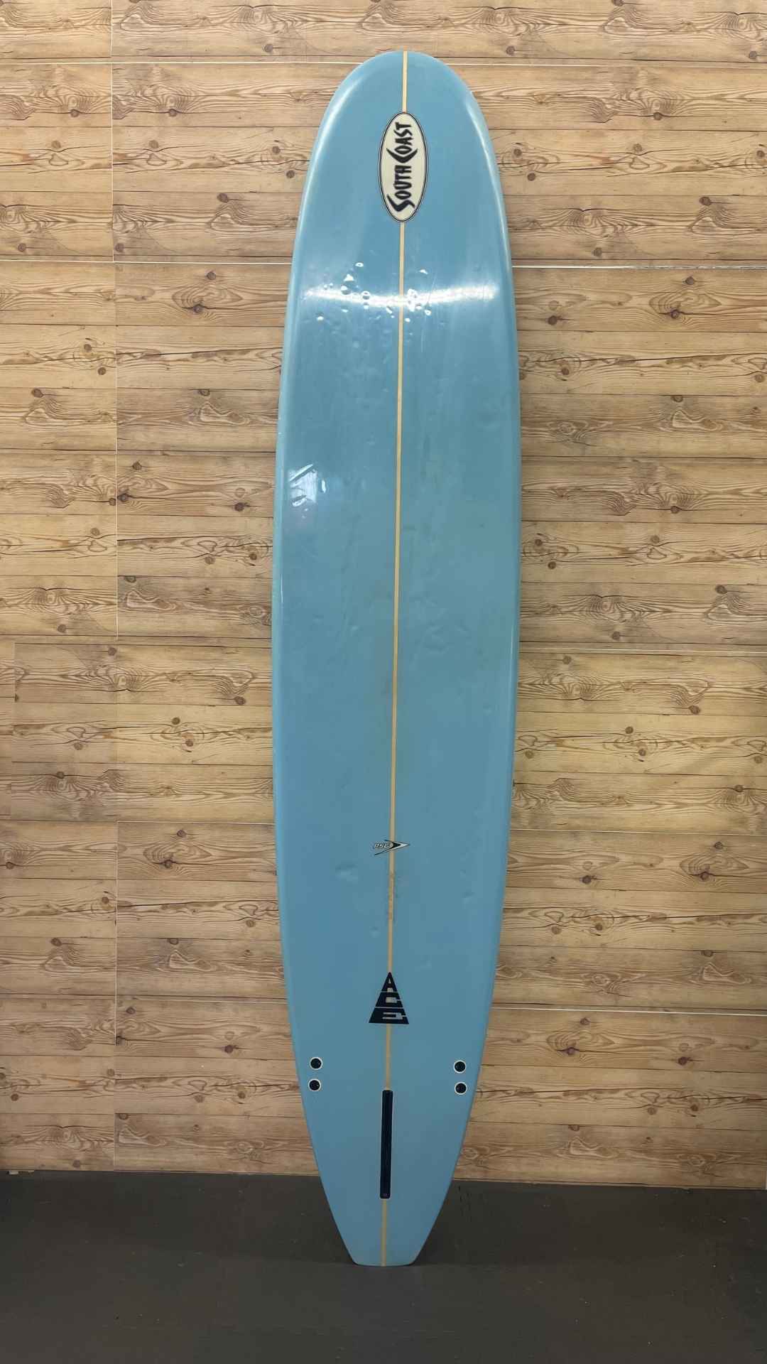 2+1 Longboard 10'0"