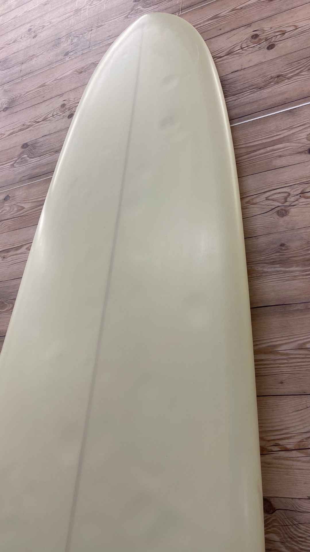Javelina 10'0"