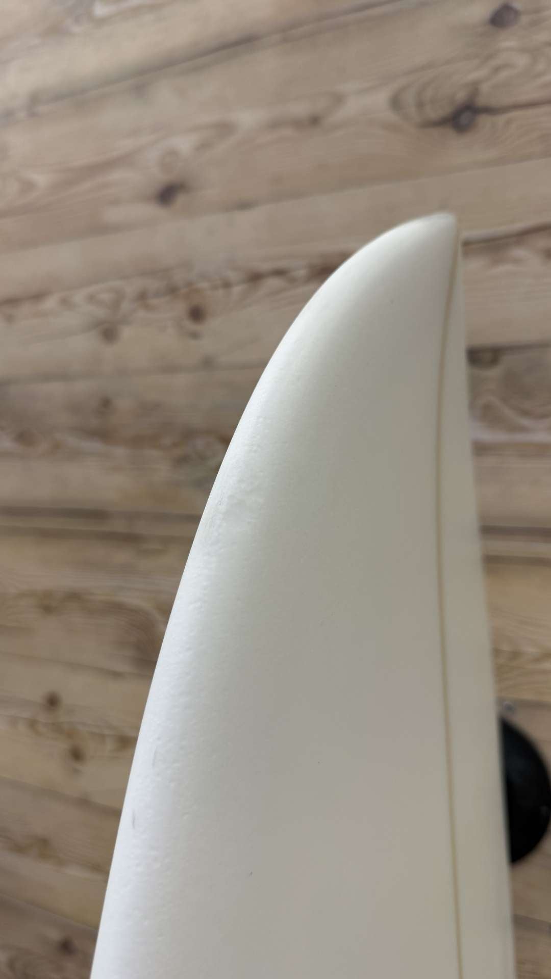 Spicy Flying Turtle 5'6"