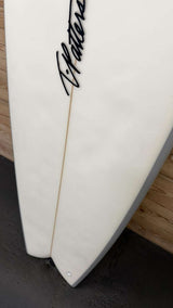 Devil Fish 5'6"
