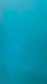 Twin Fin 5'10"