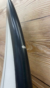 Quad 5'10"