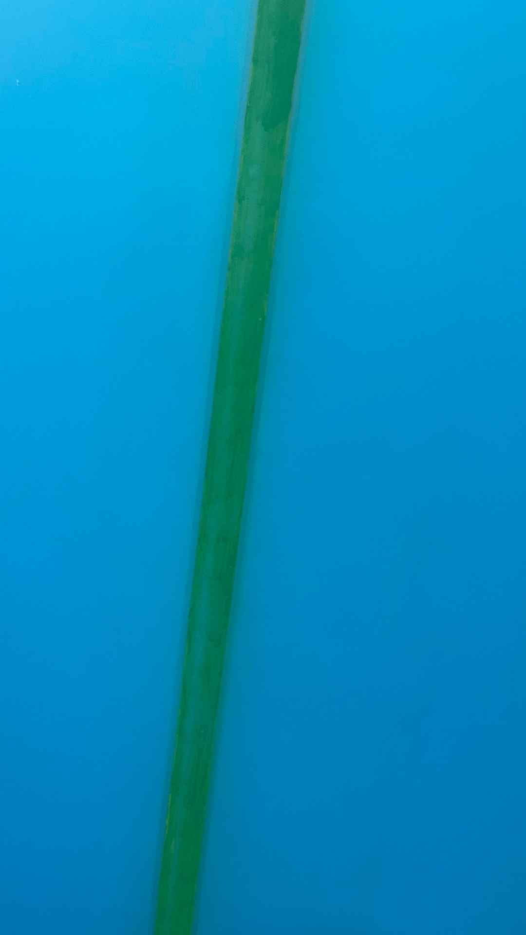 Mod Fun 8'0"