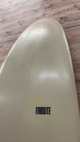 Dreadwinner 9'0"