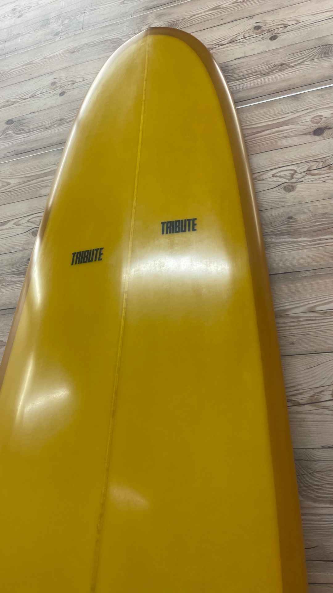 Dreadwinner 9'6"
