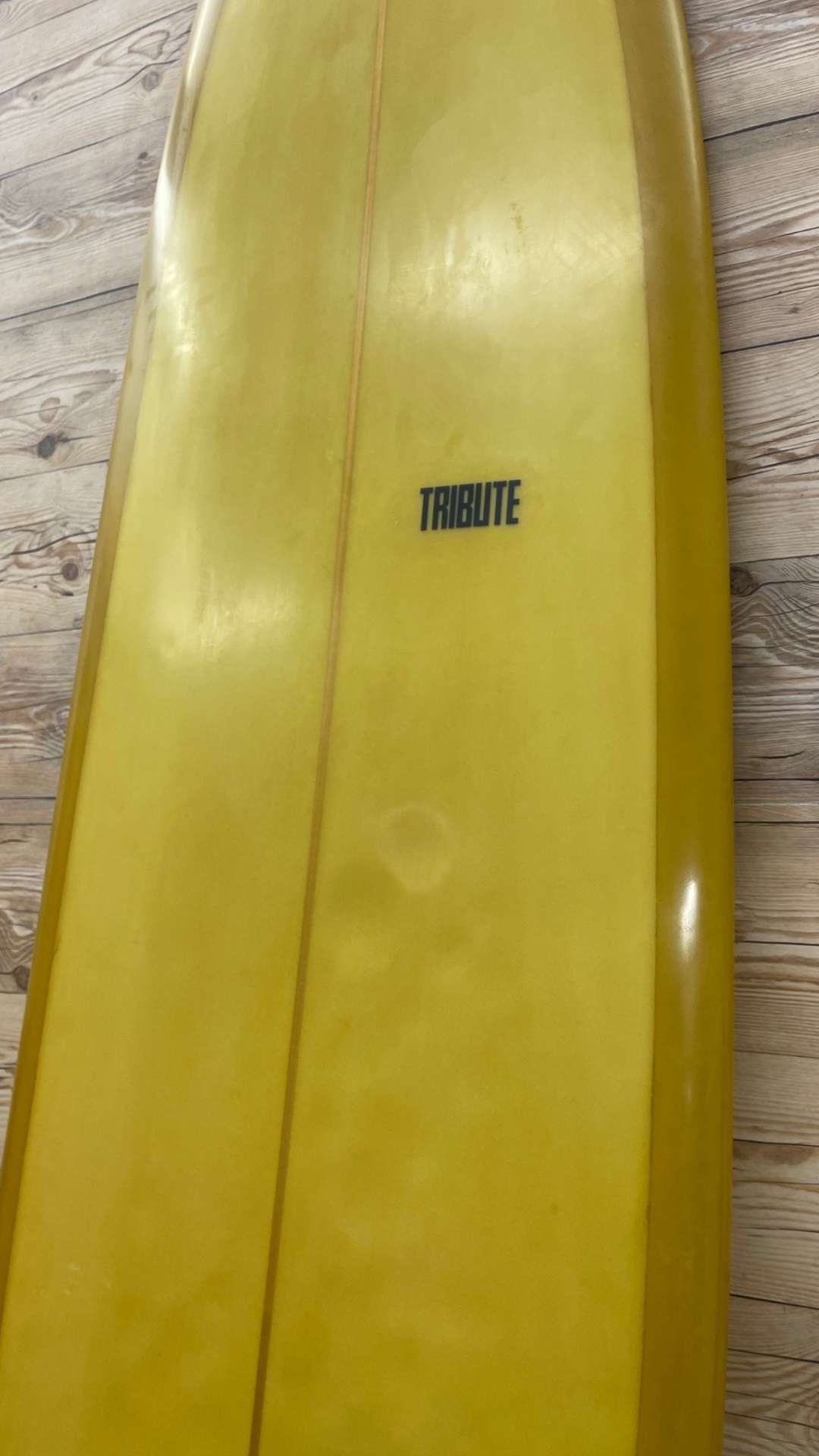 Roy Sanchez Tribute Dreadwinner 8'6